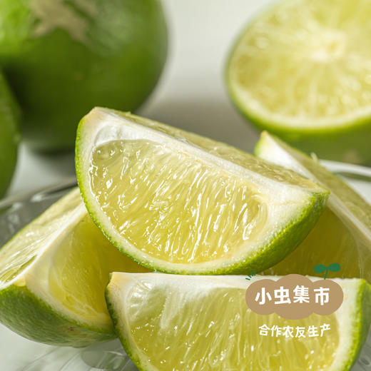 生态无籽青柠檬 3斤 | 合作农友生产，产自福建漳州，生产者：戴胜利 *【公平贸易农人定价】 商品图9