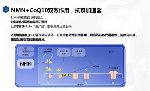 日本FANCL芳珂NMNxCoQ10液体胶囊120粒/瓶 商品图8