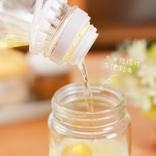 【暖白喷倒两用油壶】喷倒两用玻璃油壶喷油壶防漏油罐喷雾油瓶厨房家用调味瓶 商品图4