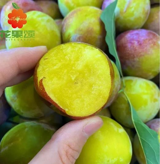 【时令单品】好吃脱骨八宝李 约250- 500g 商品图0