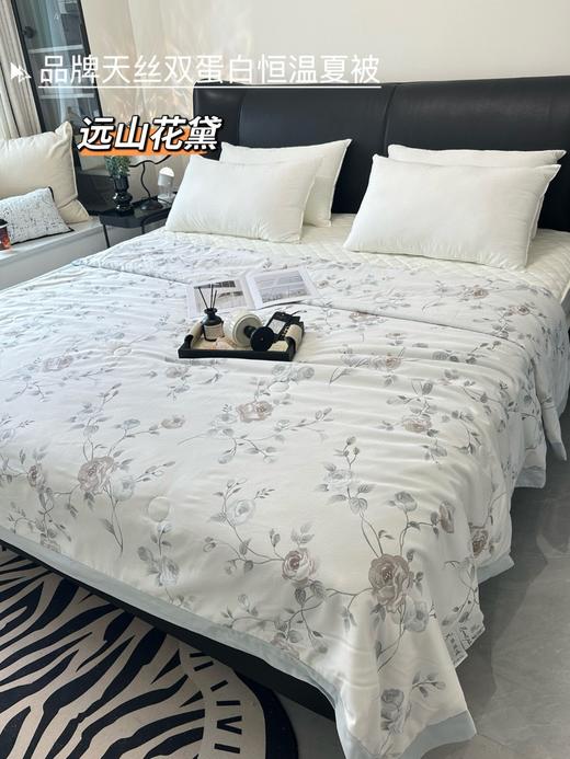 【品牌尾货】60支兰精天丝双蛋白恒温印花丝滑凉爽不闷汗夏凉被空调被 商品图2