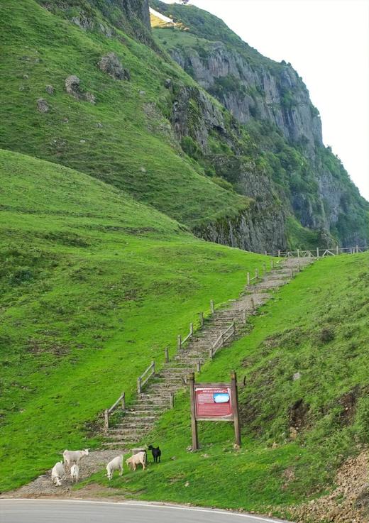 【避暑】贵州六盘水·凉都避暑之旅8日-轻松休闲  感受19°的夏天【业主专团】纯玩0购物 小区接送 【旅游】 商品图1