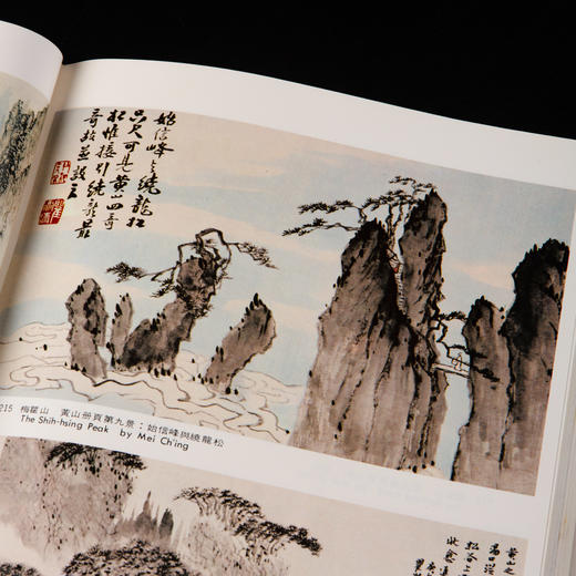 【绝版好书】《野逸画派》(石涛 八大 石豀 弘仁 龚贤 梅清)，大16开精装168页，1985年台湾艺术图书出版 商品图14