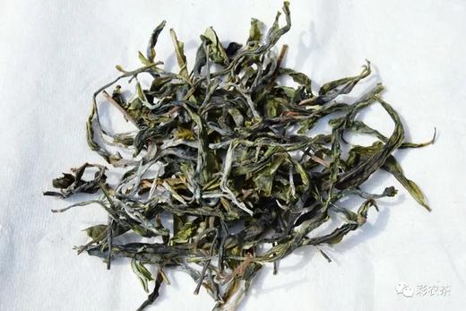 彩农茶｜倚邦·2021春金玉天 商品图2