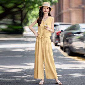时尚天丝亚麻套装女2025夏季新款百搭气质马甲显瘦阔腿裤两件套EBDU978-1