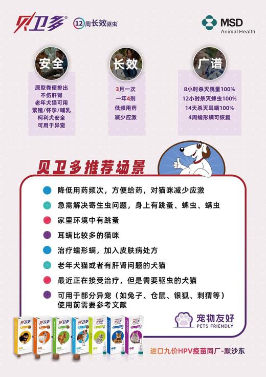 进口贝卫多宠物犬用驱虫药祛跳蚤蜱虫螨虫体外驱虫药口服狗狗专用兽药 商品图3