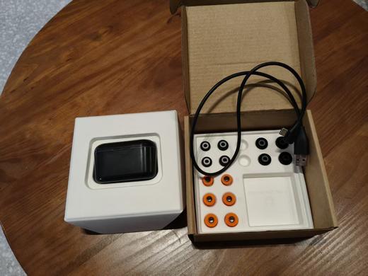 【降价拍卖】拜亚 费兰朵真无线蓝牙耳机 商品图1