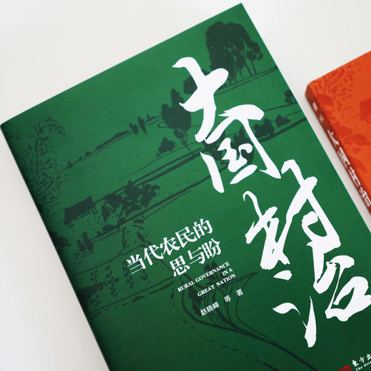大国村治：当代农民的思与盼 商品图3