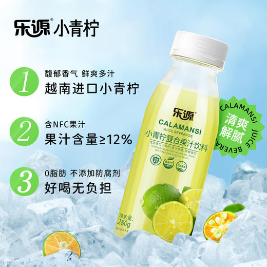 乐源小青柠复合汁饮料280g*8瓶 青桔柠檬汁复合果汁0脂小瓶整箱 商品图0