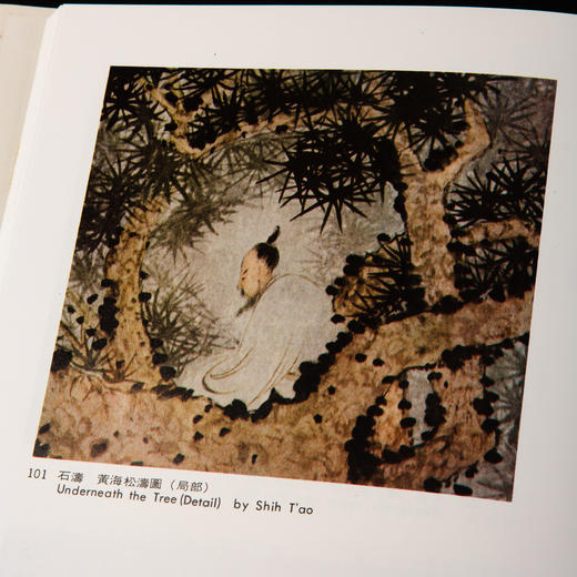 【绝版好书】《野逸画派》(石涛 八大 石豀 弘仁 龚贤 梅清)，大16开精装168页，1985年台湾艺术图书出版 商品图6