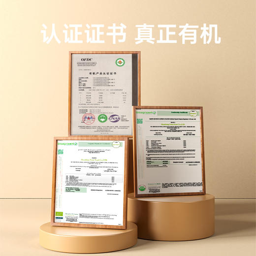 有机黄豆酱  358g/瓶 商品图3