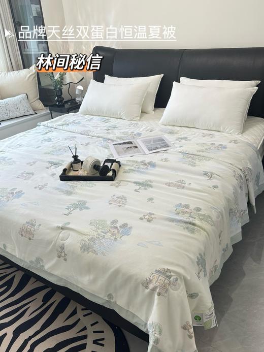 【品牌尾货】60支兰精天丝双蛋白恒温印花丝滑凉爽不闷汗夏凉被空调被 商品图3