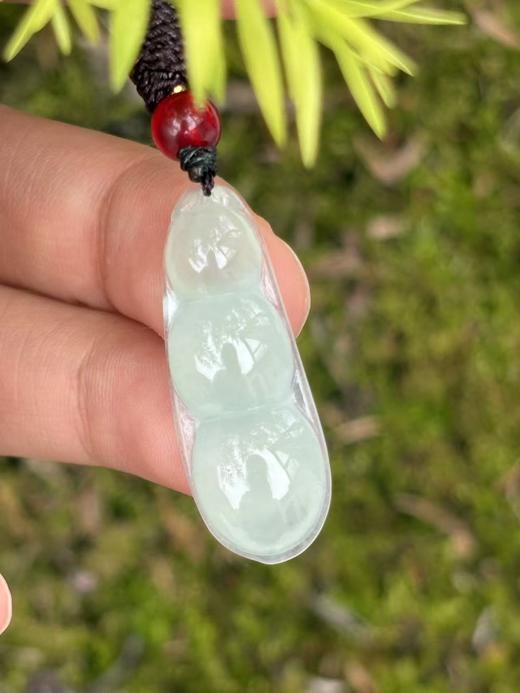 【专栏福利】冰种晴水翡翠连中三元  福禄寿齐全 随机发货 附证书 商品图6