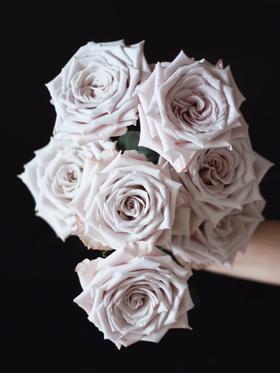 国产单头玫瑰花曼塔10支