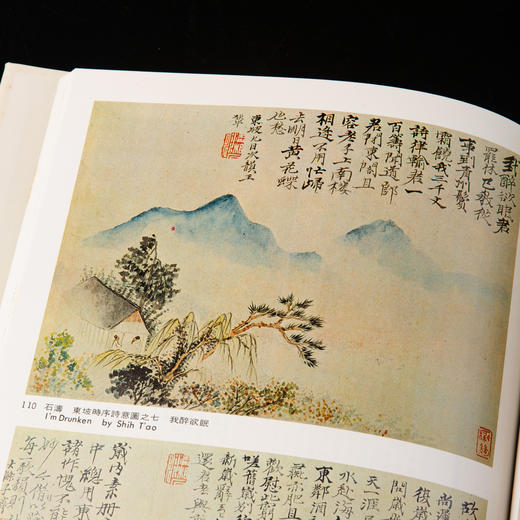 【绝版好书】《野逸画派》(石涛 八大 石豀 弘仁 龚贤 梅清)，大16开精装168页，1985年台湾艺术图书出版 商品图7