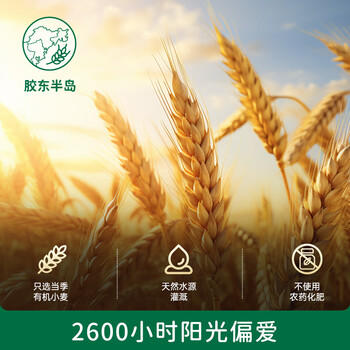 碧欧奇有机婴幼儿加铁粒粒面175g 宝宝面条儿童早餐挂面辅食无添加食盐 商品图3