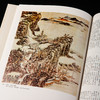 【绝版好书】《野逸画派》(石涛 八大 石豀 弘仁 龚贤 梅清)，大16开精装168页，1985年台湾艺术图书出版 商品缩略图8