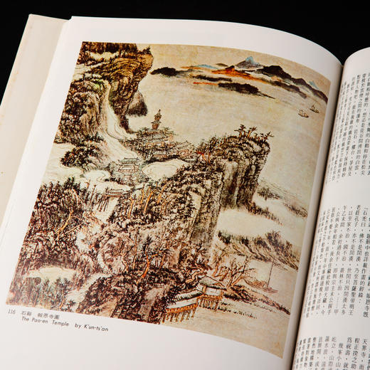 【绝版好书】《野逸画派》(石涛 八大 石豀 弘仁 龚贤 梅清)，大16开精装168页，1985年台湾艺术图书出版 商品图8