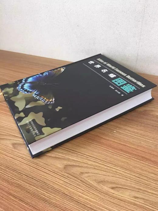 世界名蝶 商品图1