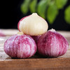 【厂商直发】云南有机紫皮独头蒜2斤/3斤装口感辛辣蒜香浓郁包邮 商品缩略图3