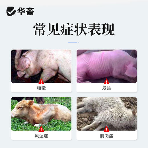 华畜30%安乃近注射液 解热镇痛抗菌消炎 治疗咳嗽发热肌肉痛等 商品图1