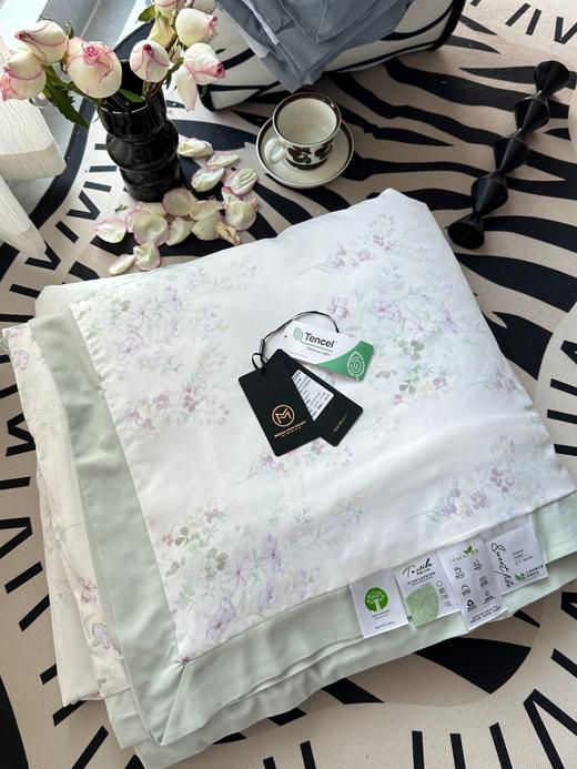 【品牌尾货】60支兰精天丝双蛋白恒温印花丝滑凉爽不闷汗夏凉被空调被 商品图9