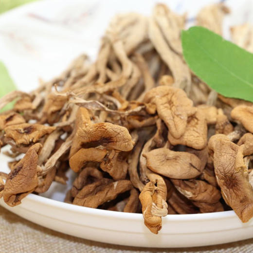 阿比该茶树菇138g 商品图4