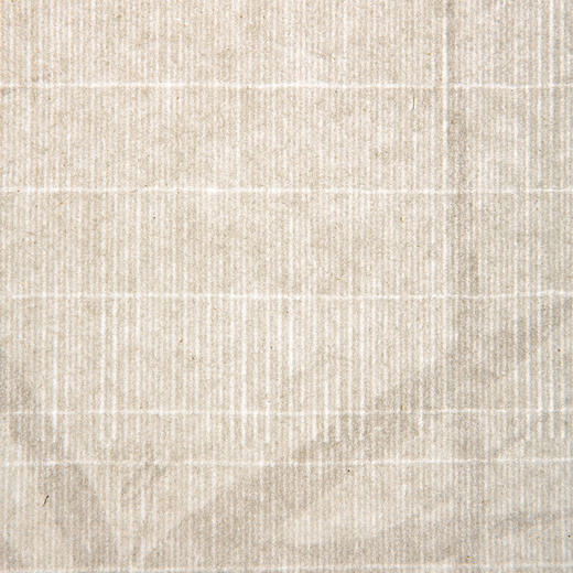 70-80年代天津杨柳青画店制木版水印大画笺(竹，单张) 商品图9