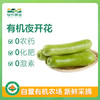 有机夜开花（瓠瓜） 商品缩略图0