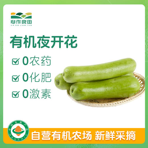有机夜开花（瓠瓜） 商品图0