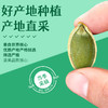 【颗粒饱满 还原果色】鲜记 盐焗南瓜子348g/罐 零食干货精心烘焙咸香有味 商品缩略图3