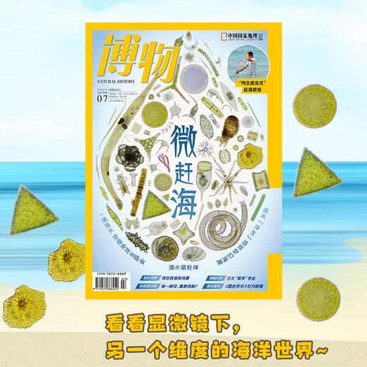 《博物》202507 “列文虎克式”赶海教程  我在故宫拍鸟兽  兰大“草学”专业 有一种花靠狼传粉？ 《国色芳华》牡丹群像 商品图1