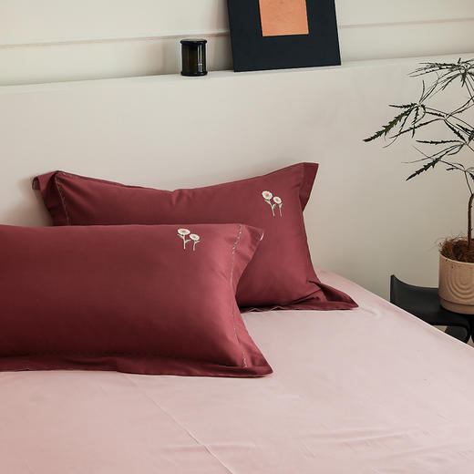 自然醒精梳火山全棉小魔毛工艺单品枕套一对装加厚纯棉毛巾绣枕头套单只HS 商品图6