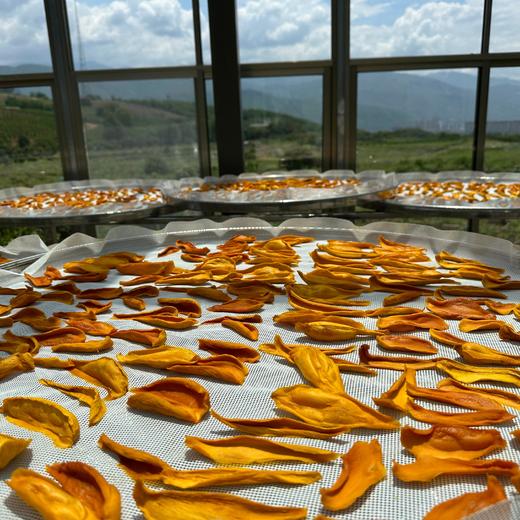 生态芒果干（无糖）70克*3袋/5袋 商品图5