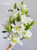 精品百合花白雪公主3头5支 商品缩略图0