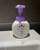 日本本土版狮王儿童泡沫洗手液250ml杀菌抑菌植物提取不伤手 商品缩略图9