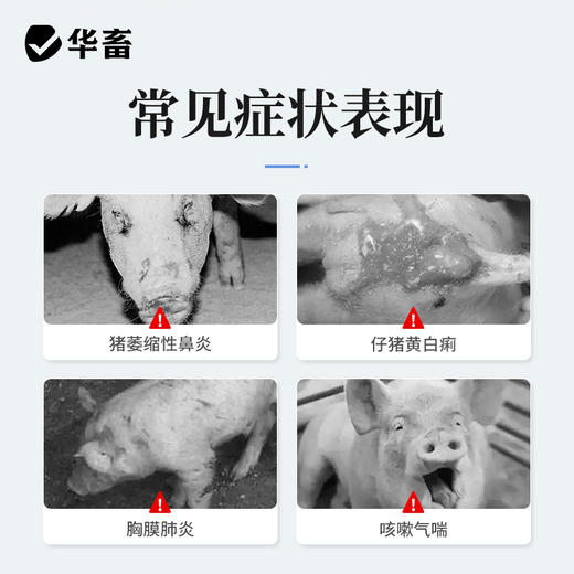 华畜 复方磺胺间甲氧嘧啶钠注射液10支 链球菌 混合感染高热不食 商品图1