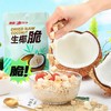南国（nanguo） 生椰脆椰子肉干袋装海南特产香烤椰子脆片脆块休闲零食 商品缩略图0