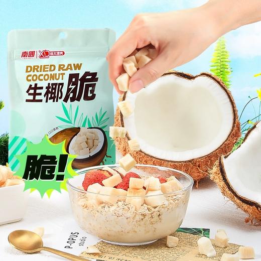 南国（nanguo） 生椰脆椰子肉干袋装海南特产香烤椰子脆片脆块休闲零食 商品图0
