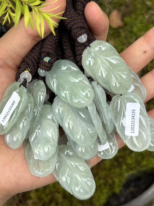 【专栏福利】冰种晴水翡翠金枝玉叶 叶子含证书 随机发货 商品图0