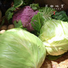 【预售7月5号/6号发货】生态高原大白菜/牛心莲白（农场直发-顺丰包邮）|4-4.5斤装，来自四川小金，生产者：吴明清【合作生产，公平贸易】 商品缩略图3