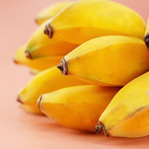 萌宠小胖蕉2kg装 商品图2