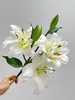 精品百合花白雪公主3头5支 商品缩略图2