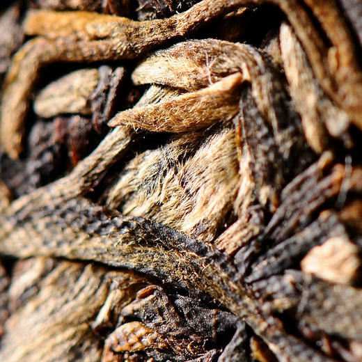 爻牌丨古树春蕊 普洱生茶 古树头春普洱 2013年原料 干仓存化 357g 汤感浓酽醇厚 喉感清凉 商品图2