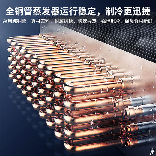 海尔（Haier）超低温冰柜零下-65/70度商用大容量实验室深冷速冻细胞级海鲜柜冷冻柜可冻金枪鱼三文鱼 DW-60W252EU1丨-60度 商品图5