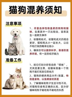 🐱🐶猫狗混养须知！！