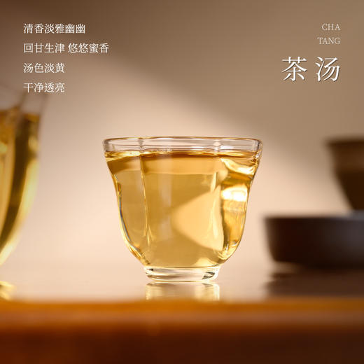 懂茶帝-国非遗大师韦洁群濡菲六堡茶-2024年社前茶150g 商品图2