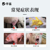 华畜0.5g硫酸头孢喹肟注射液20ml*2支 产后消炎 仔猪黄白痢华畜 商品缩略图1