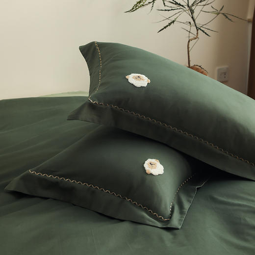 自然醒精梳火山全棉小魔毛工艺单品枕套一对装加厚纯棉毛巾绣枕头套单只HS 商品图9