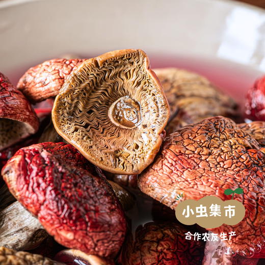 诏安乌山红菇干 深山采集 50g/袋 | 合作农友生产，产自福建诏安，生产者：张雪玲 &【公平贸易农人定价】 商品图6
